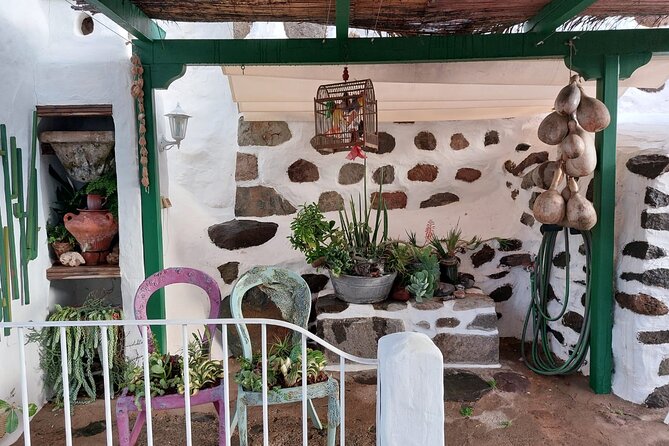 Canarian Farmhouse in Mogan, Mango Farm and Vermouth Factory - Exploring the Surrounding Gardens and Orchards