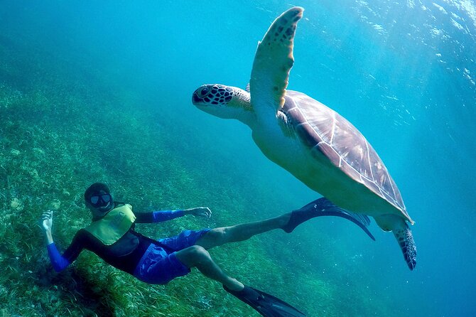 Cancun Snorkeling Adventure: Underwater Museum, Reef & Shipwreck - Common Questions