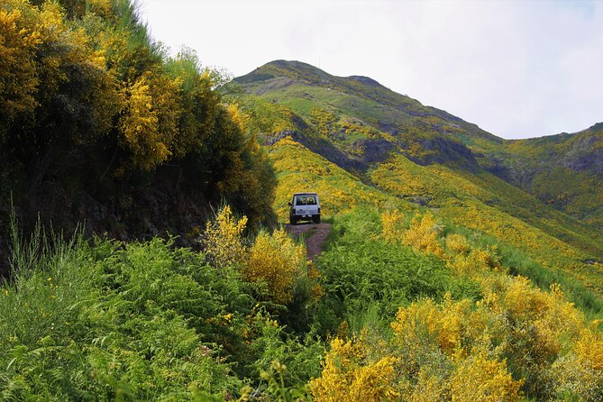 Canico Private Full-Day Choose Your Own Adventure Tour  - Funchal - The Sum Up