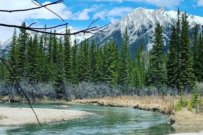 Canmore: Into the Mountains - 4hr Wildlife Safari Drive & Walk - Cancellation Policy