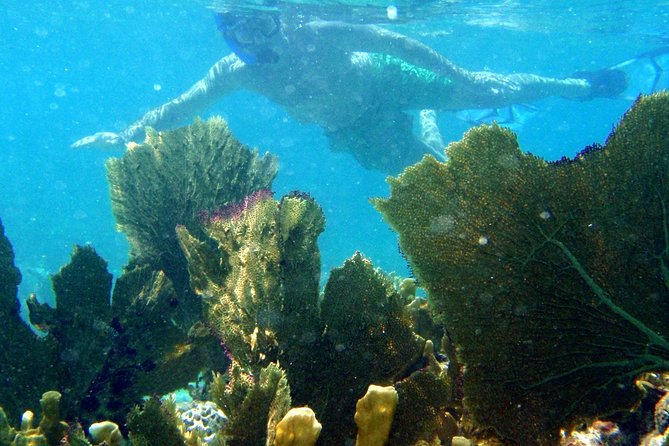 CAPTAIN ALANS 4hr -3 Islands-snorkeling-turtles-beach ADVENTURE - Refund Policy