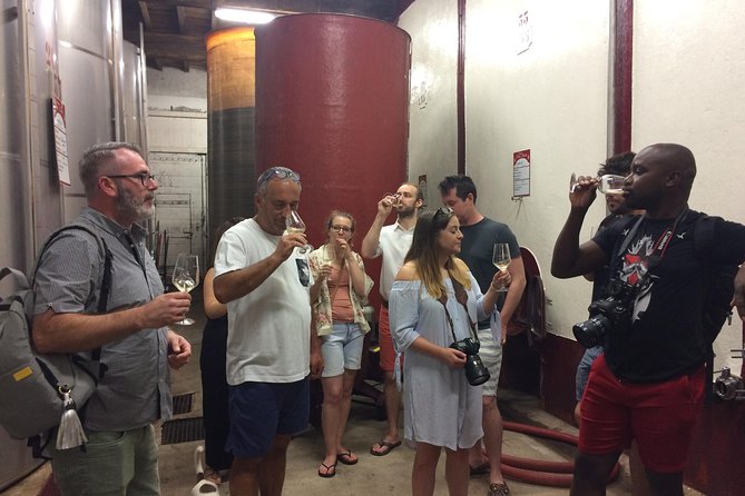 Carcassonne Private Half-Day Winery Visits and Tasting - Meeting and Pickup Details