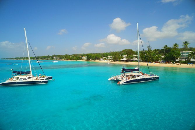 Catamaran and Snorkeling Cruise At Carlisle Bay - Traveler Recommendations and Reviews