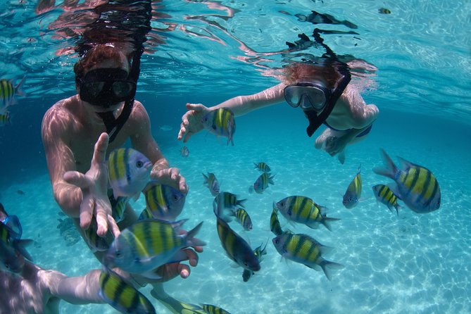 Catamaran Cruise With Snorkeling & Parasailing - The Sum Up