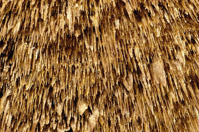 Caves of Drach Half-Day Tour With Boat Trip and Music Concert - Price and Transportation