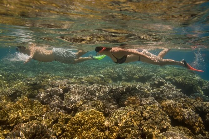 Cham Island Daily Tour - Snorkeling Experience - Traveler Photos and Reviews