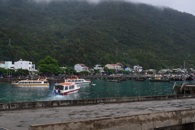 Cham Island Day Tour: Speed Boat, Lunch, Snorkeling & Beach - Common Questions