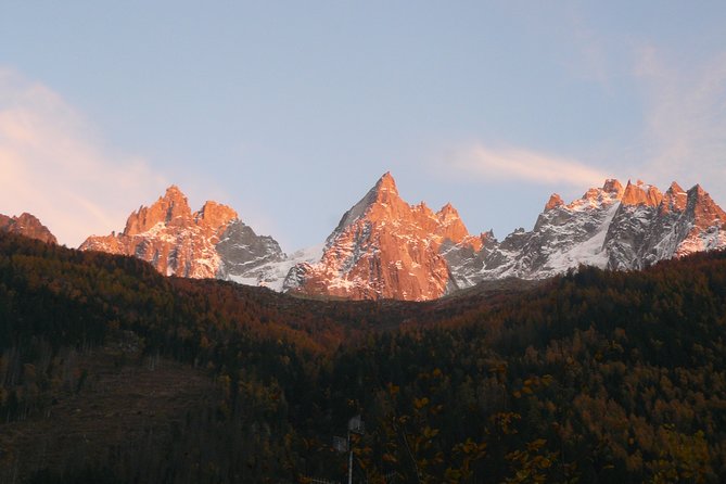 Chamois Observation - Hiking Day - Tips for Spotting Chamois in the Wild
