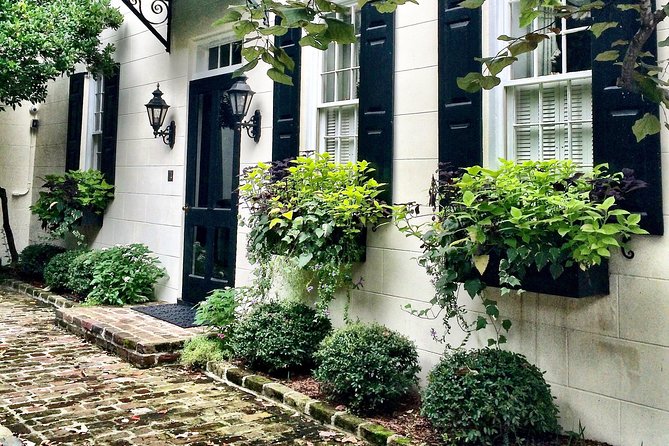 Charleston History, Homes, and Architecture Guided Walking Tour - Positive Reviews About the Tour and Tour Guides