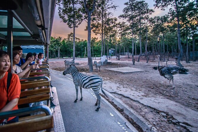 Chiang Mai Night Safari Ticket - Common Questions