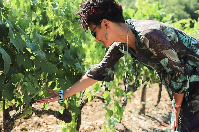 Chianti Wine Tour From Florence - Bus Ride and Weather