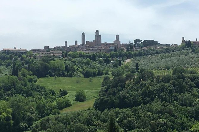 Chianti Wines and San Gimignano Tour From Florence (1 Winery) - Cancellation Policy