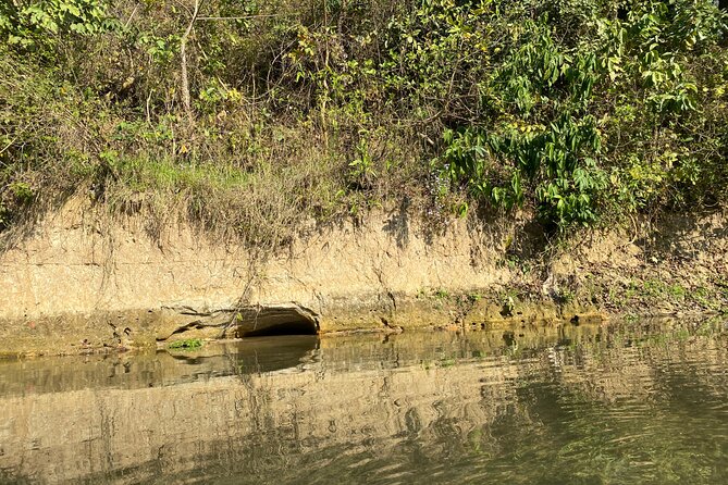 Chitwan Jungle Safari With Overnight Stay - Best Time to Visit Chitwan for Safari