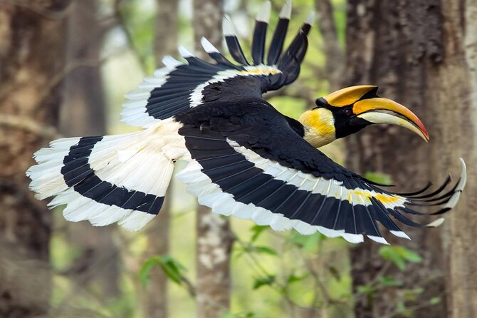 Chitwan National Park Bird Watching Untouched Side From Madi - Good To Know