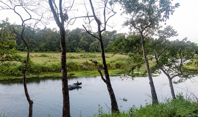 Chitwan Tour Packages - Additional Information