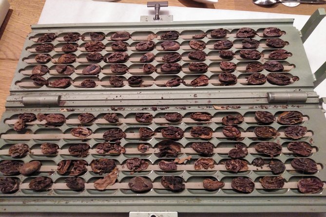 Chocolate Tasting Room & Aromatic Cocoa Factory Tour Near Barcelona - Booking Information