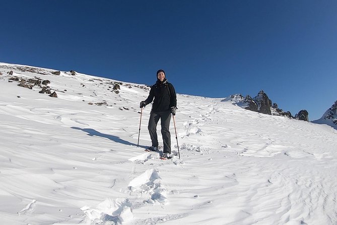 Chugach State Park Easy Snowshoeing Adventure  - Anchorage - Highlights of the Tour Experience
