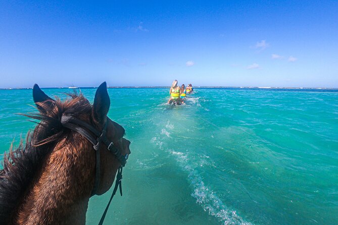 Chukka Horseback Ride & Swim With Hotel Pick-Up - Common Questions
