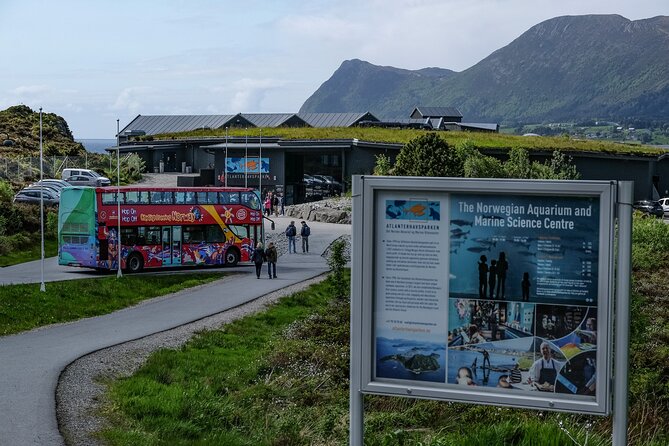 City Sightseeing Alesund Hop-On Hop-Off Bus Tour - Tour Schedule