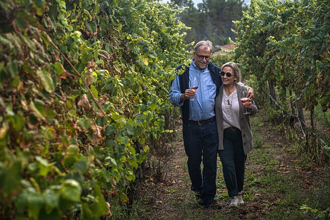 Classic Tasting Quinta De Santa Cristina Vinho Verde - Logistics and Accessibility Information