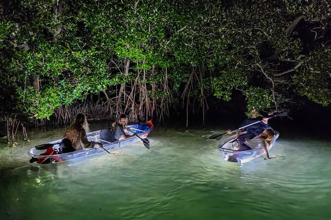 Clear Kayak LED Night Glass Bottom Tour - Sarasota - Check for Availability