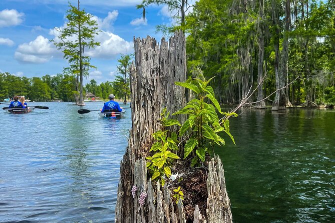Clear Kayaking Eco Adventure Tour in Marianna - Viator Help Center and Booking Information