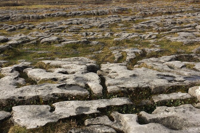 Cliffs of Moher and the Burren Private Tour - Common Questions