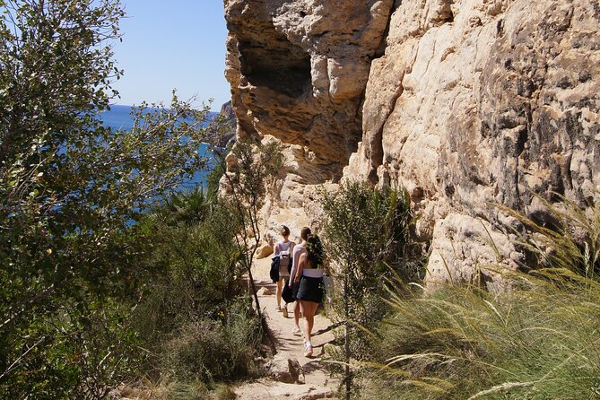Coastal Cliffs & Beaches: Private Full Day Tour - Itinerary Highlights