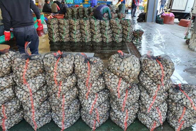 Cod Auction and Clam Auction in Winter - Food and Winter Experience