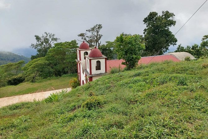 Coffee Plantation Experience - Viator Help Center and Terms & Conditions