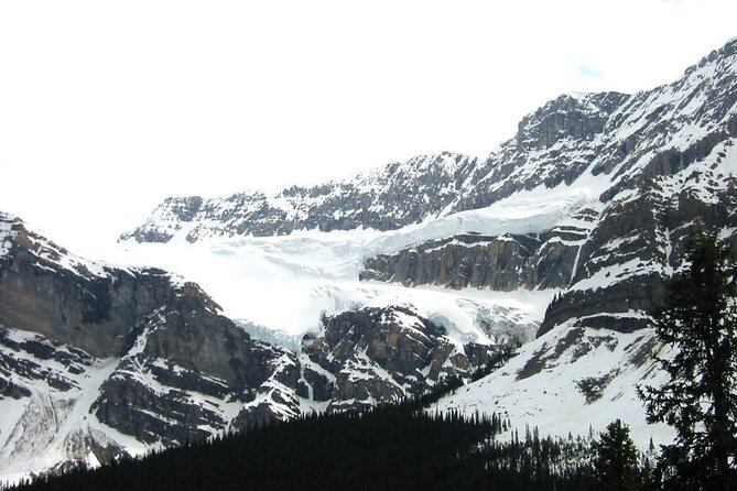 Columbia Icefield Adventure 1-Day Tour From Calgary or Banff - Areas of Improvement
