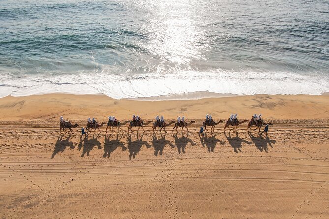 Combo Camel Ride and Extreme Side by Side in Cabo - Background