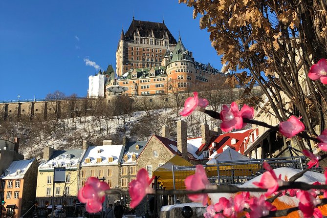 Combo Historical and Food Tour of the Old Quebec City - Highlights of the Tour