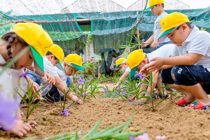 Cooking Class Hoi An - Organic Garden - Farming Tour - Important Additional Details