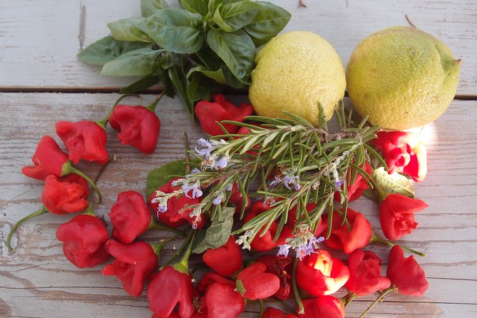 Cooking Class, Traditional Greek Cuisine, on a Greek Island - Operator and Cancellation Policy