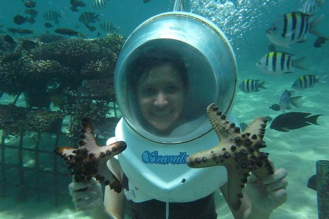 Coral Island Half-day Tour - Pricing and Availability