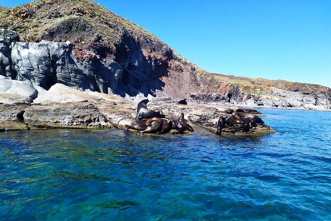 Coronados Island Tour - Island Attractions