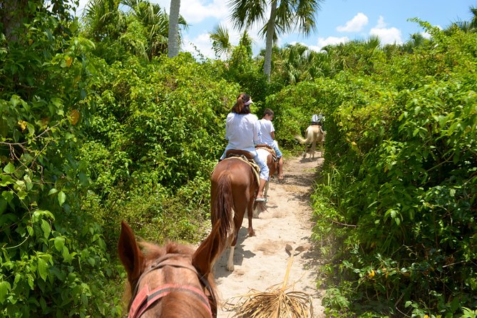 Cozumel Beach Horseback Riding Tour - Beach Club Facilities and All Inclusive Day Pass