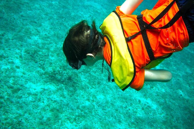 Cozumel Buggy Tour: Snorkeling & Lunch - Common Questions