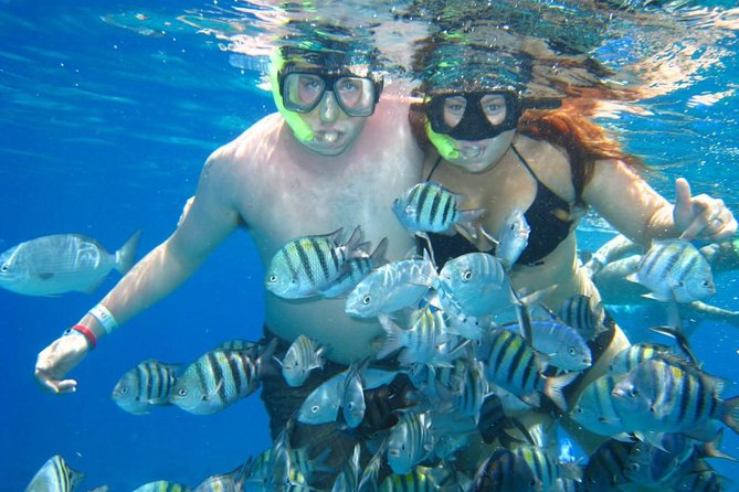 Cozumel Coral Reef Snorkeling by Glass Bottom Boat With Guide - Directions
