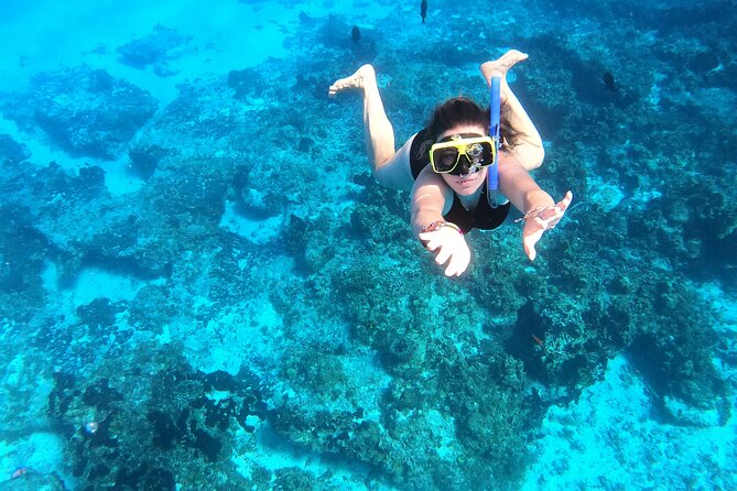 Cozumel Private Snorkeling and Charter Experience - Common Questions