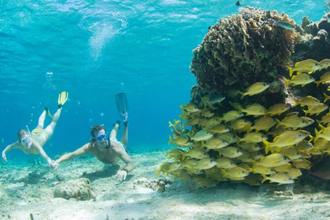 Cozumel: Small Group Glass Bottom Boat Snorkeling Tour - Pricing and Terms