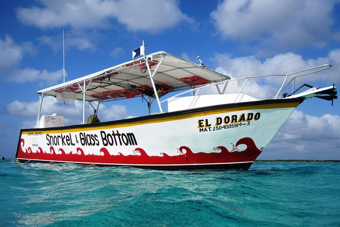 Cozumel Snorkeling Tour: Palancar, Columbia and Cielo Reefs - Dissatisfaction With the Reefs