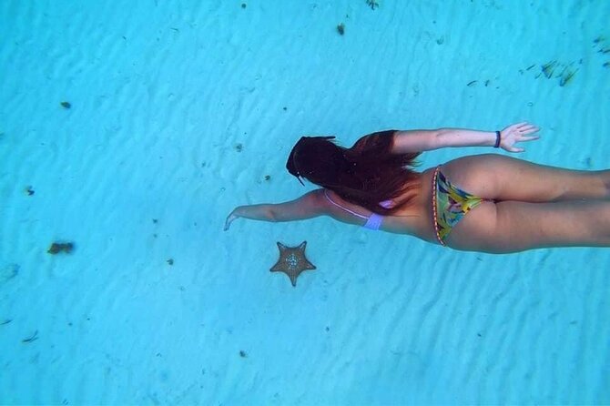 Cozumel Snorkeling Tour: Palancar, Columbia and El Cielo Reefs - Traveler Reviews and Recommendations