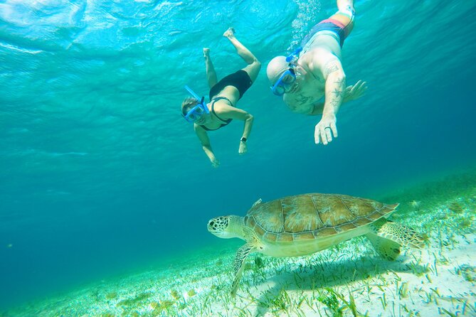 Cozumel Snorkeling Tour: Starfish, Stingrays and the Turtle Bay Experience - Common Questions