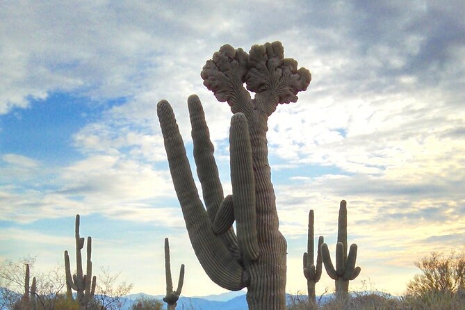 Creative Soul Scavenger Hunt (Lost Dog Trailhead, Scottsdale) - Directions to Lost Dog Trailhead