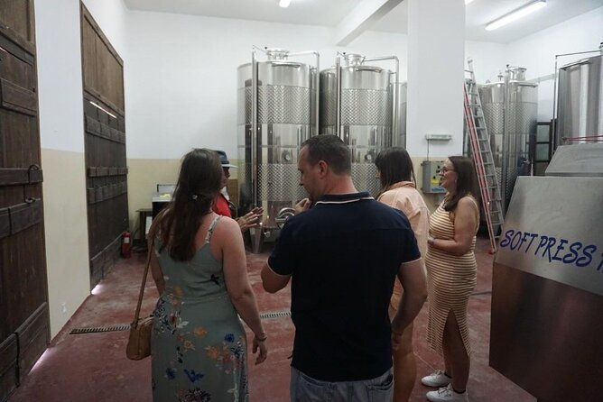 Cretan Wines & Olive Oil Tour - the Treasures of Crete - Questions and Pricing Information