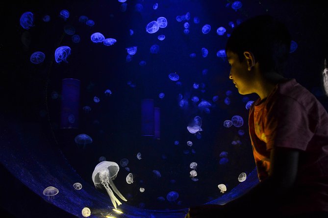 CRETAquarium Entrance Ticket in Crete - Questions and Help Center