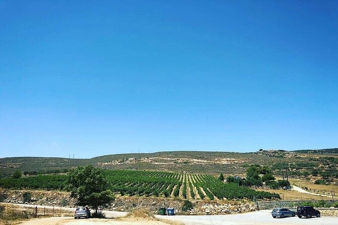 Crete, Peza Half-Day Private Winery Tour - Cancellation Policy