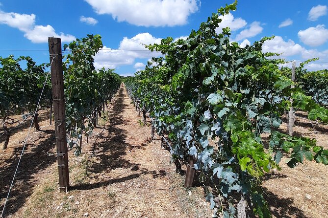 Crete Sightseeing, Gastronomy, and Wine Private Tour  - Greece - Transportation Details and Options